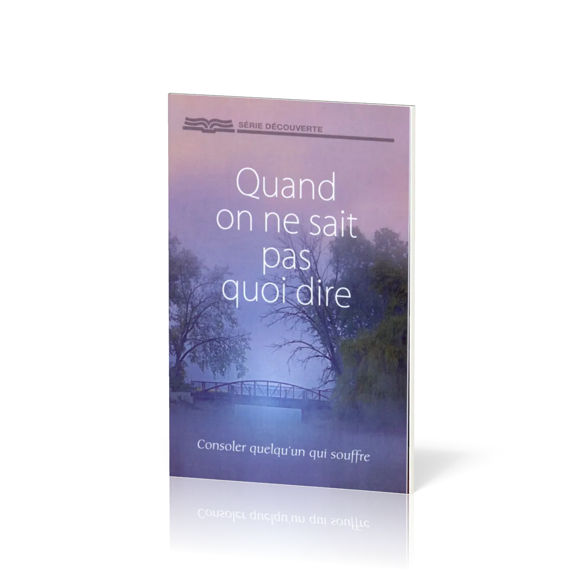Quand on ne sait pas quoi dire - Consoler quelqu'un qui souffre - [Série Découverte]
