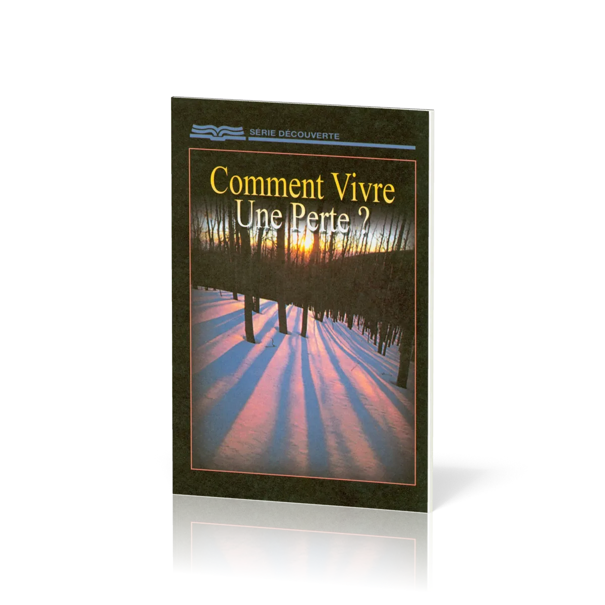 Comment vivre une perte?  - [Série Découverte]