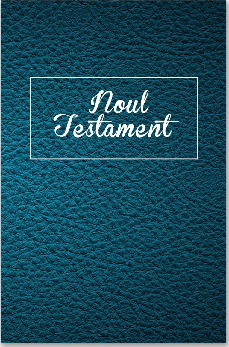 Rumänisch, Neues Testament - Fidela - broschiert