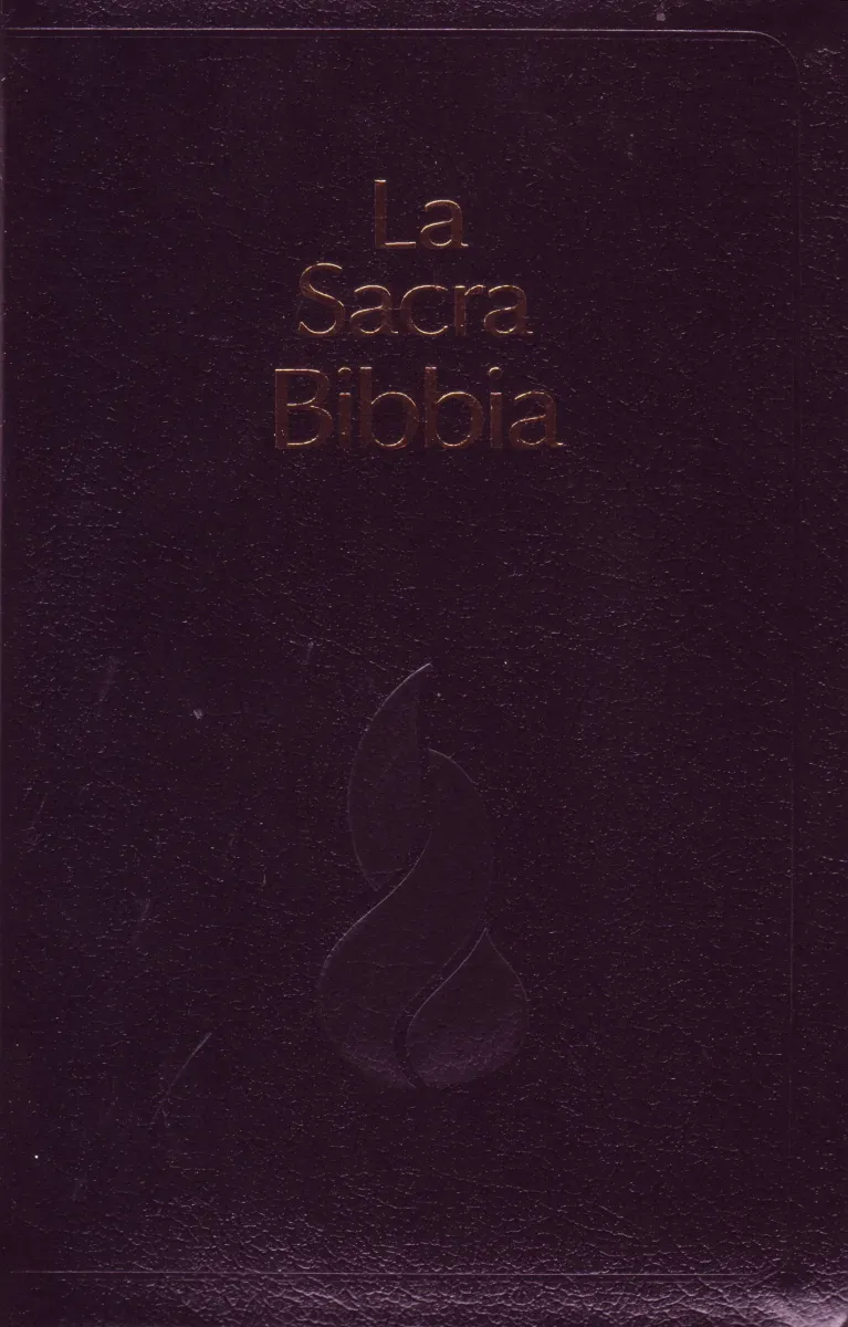 Italienisch, Bibel Nouva Riveduta, Fibroleder, Goldschnitt, Griffregister, Schwarz