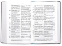 Allemand, Bible Schlachter 2000, poche, avec paralelles, reliure coloré bleu clair/gris, reliure... Allemand, Bible Schlachter 2000, poche, avec paralelles, reliure coloré bleu clair/gris, reliure...