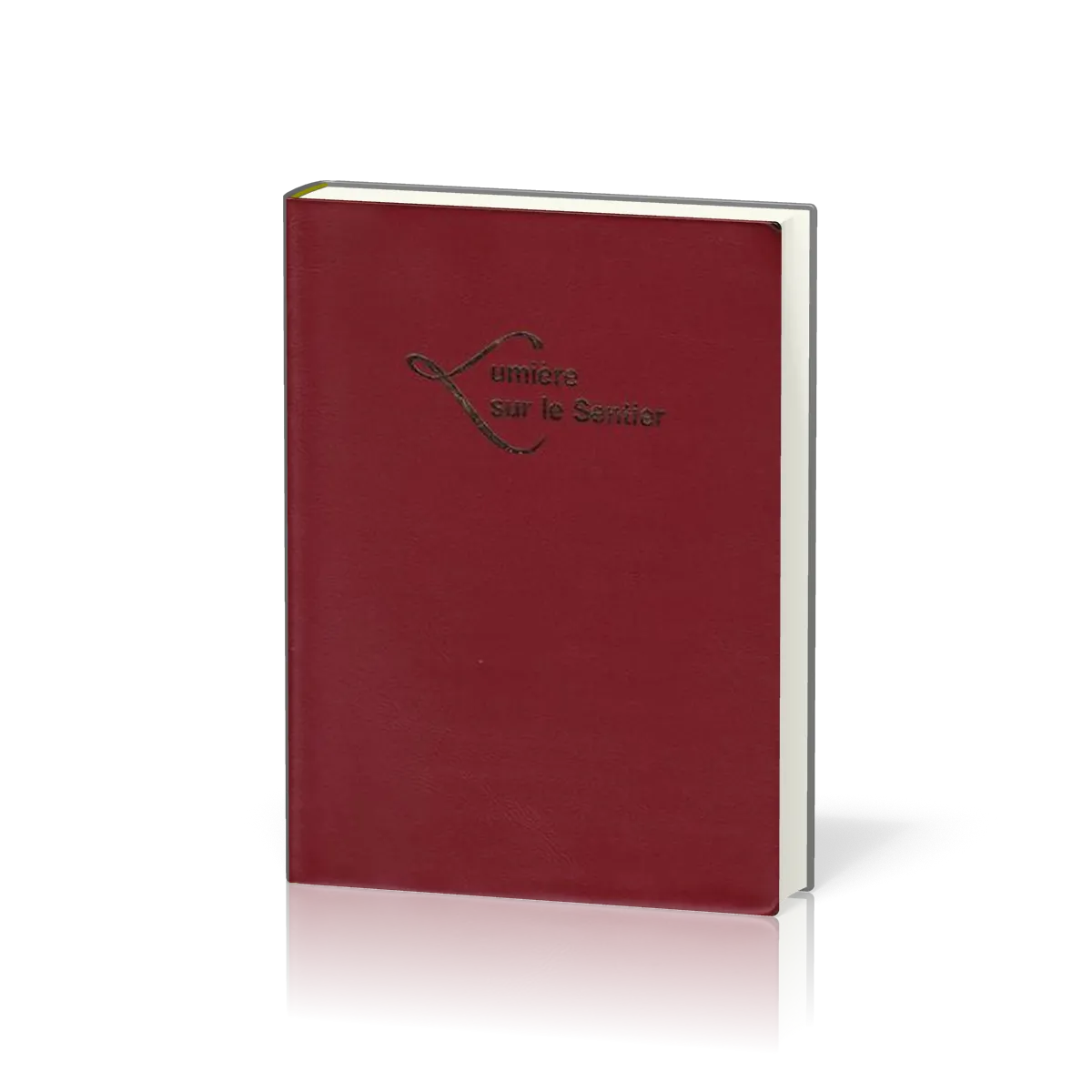 Lumière sur le sentier