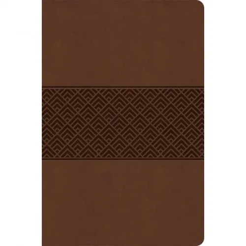 Englisch, Studienbibel Christian Standard Bible, braun