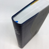 ITALIEN BIBLE, NUOVA RIVEDUTA, DUO SOUPLE GRIS/BLEU, TR. ARGENTÉE - COMPACT