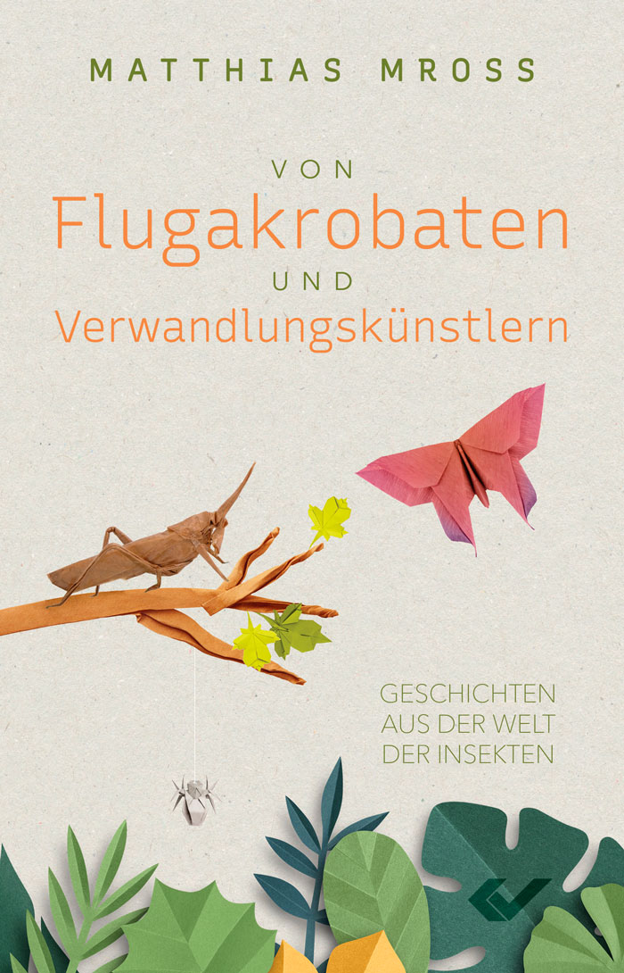 Von Flugakrobaten und Verwandlungskünstlern - Geschichten aus der Welt der Insekten