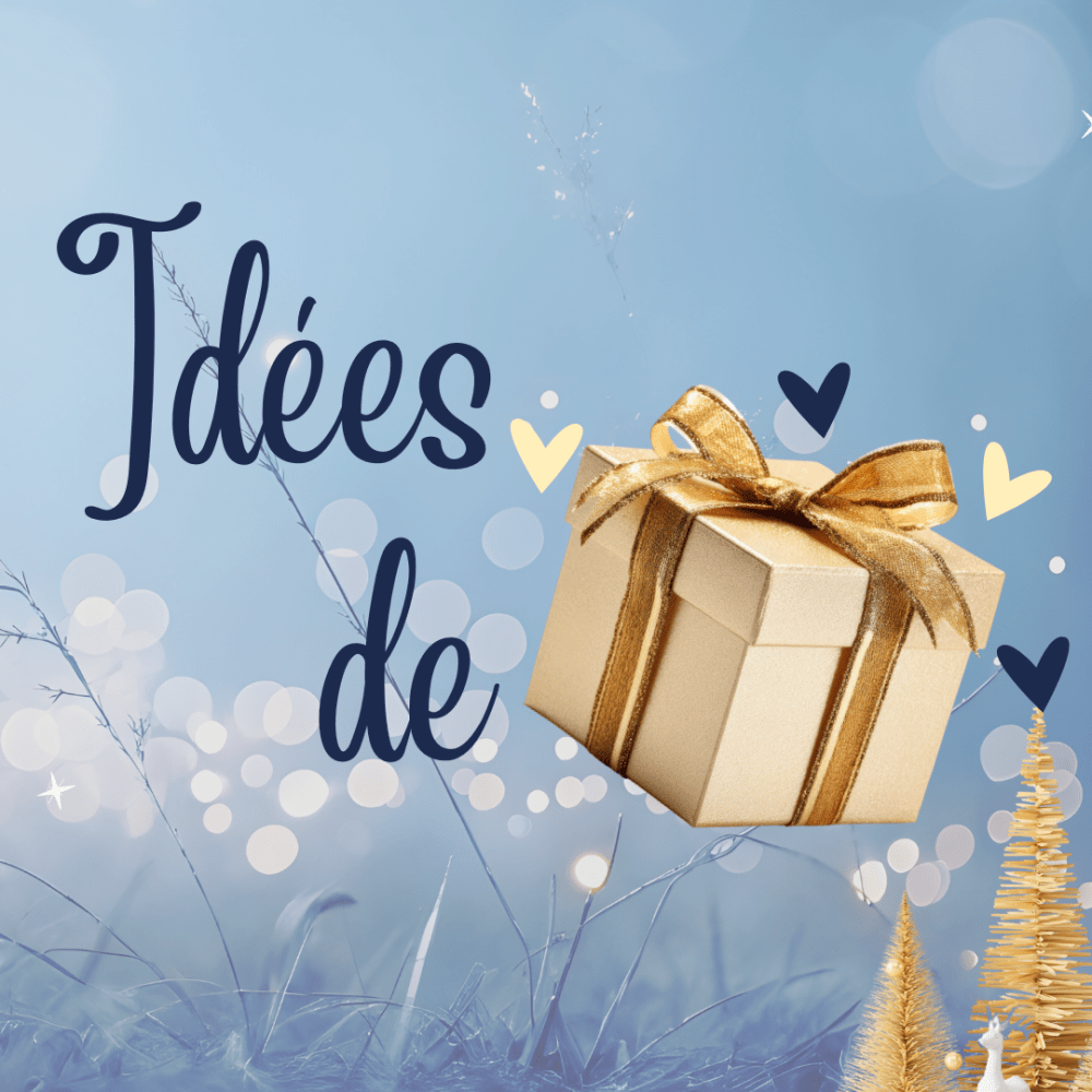   Sélection de Bibles et de livres à offrir !   